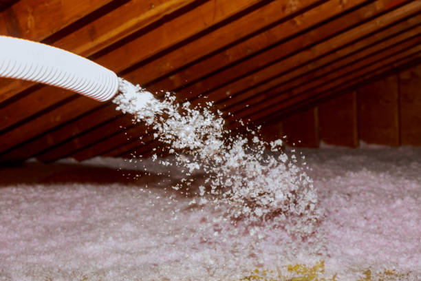 Best Cellulose Insulation in Augusta, AR