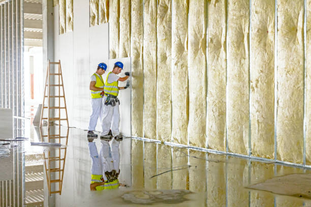 Best Energy Efficiency Insulation in Augusta, AR